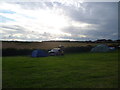 Evening scene at Trevallen farm campsite near Bosherston, Pembs