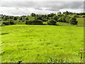 Mullaghfarne Townland