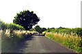 Weston Road out of Lewknor