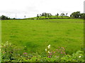 Drummacalara Townland