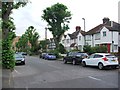 Watermead Road, Catford