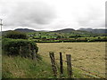 Hay field on the south side of Leitrim Road