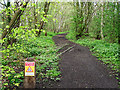 Old railway tracks, Kingmoor Sidings Nature Reserve