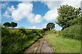 Farm lane near to Whitrigg