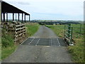 NY9576 : Cattle grid on farm road near Little Swinburne by JThomas
