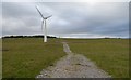 Wind turbine, by Somerby Farm