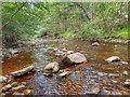 Cawdor Burn