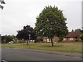 Bungalows on Loxwood Road, Alfold Crossways