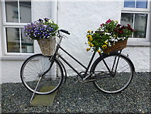 C2221 : Old bicycle, Ramelton by Kenneth  Allen