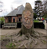 SP3265 : Copper Beech Tree Carving in Jephson Gardens,  Royal Leamington Spa by Jaggery