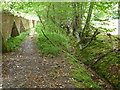 Public footpath outside Braxted Park wall