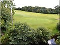 14th Green - Garstang Golf & Country Club