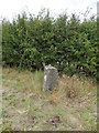 SK6386 : Old milestone at a country crossroads by Neil Theasby