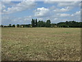 Farmland off Bedford Road