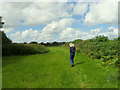 Footpath from Dicconson Lane to Brinsop Hall