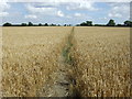 Footpath to Chibley Farm