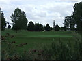 Golf course, Henlow Airfield