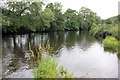 SJ0843 : The Afon Dyfrdwy (River Dee) at Corwen by Jeff Buck