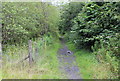 Bridleway to Manmoel Road