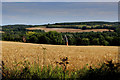 Towards Hurst Farm