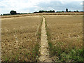 Footpath to Staithe Road, Martham