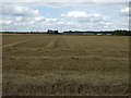 Stubble field north of Hill Lane