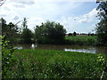 Pond near Redcoats Farm