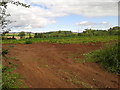 Field near Chipley