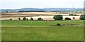 Farmland at Burtree House