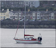 J5082 : Yacht 'Pheonician Voyager' off Bangor by Rossographer