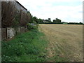 Farmland and hedgerow, Langford