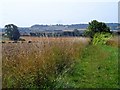 Footpath on the edge of Shillington