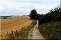 North Downs Way at Harts Hill