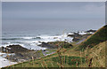 Little Tumblers, Boyndie Bay