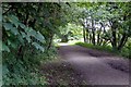 On the Churnet Way