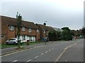 Carisbrooke Avenue, Albany Park