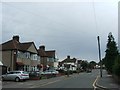 Carisbrooke Avenue, Albany Park