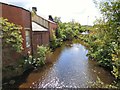 River Tame from the aqueduct