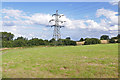 Pylon, Farnham Park