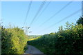 Power Lines at Lower Corry