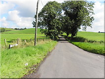 H4951 : Aghintain Road, Knocknacarney by Kenneth  Allen