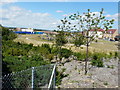 Children?s playground, Bridgefield housing estate