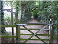 Footpath going north in Pulborough