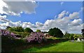 Castle Frome: Town Farm from St. Michael