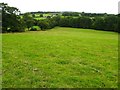 Pasture and woodland north of Wern-Shade