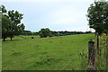 Farmland at Chapelton