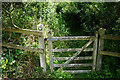 Footpath leading away from Porthgain