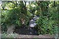 Small stream at Henllys