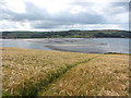 Fields above the Teifi Estuary near Gwbert