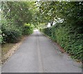 Footpath - Selby Road